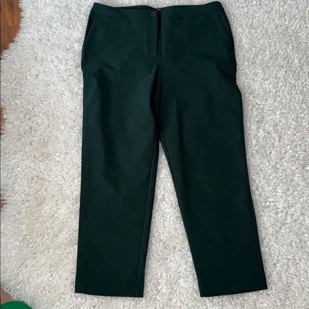 Hilary Radley Forest Green Pants Elegant Trousers size 16 slim leg  NWT